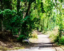 MILLTOWN SECTION OF THE DODDER TRAIL [DOGS ARE WELCOME BUT MUST BE ON A LEASH]-239201-1