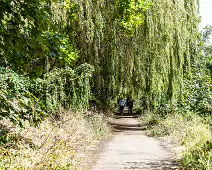 MILLTOWN SECTION OF THE DODDER TRAIL [DOGS ARE WELCOME BUT MUST BE ON A LEASH]-239205-1