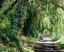 MILLTOWN SECTION OF THE DODDER TRAIL [DOGS ARE WELCOME BUT MUST BE ON A LEASH]-239206-1