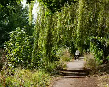 MILLTOWN SECTION OF THE DODDER TRAIL [DOGS ARE WELCOME BUT MUST BE ON A LEASH]-239207-1