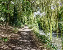 MILLTOWN SECTION OF THE DODDER TRAIL [DOGS ARE WELCOME BUT MUST BE ON A LEASH]-239208-1