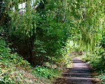 DODDER WALK