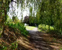 MILLTOWN SECTION OF THE DODDER TRAIL [DOGS ARE WELCOME BUT MUST BE ON A LEASH]-239210-1