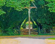 THE ENTRANCE TO ST. PATRICK'S CEMETERY AT MAYNOOTH UNIVERSITY [FEATURING A SHADED TUNNEL OF INTERLOCKING YEW TREES]-237728-1