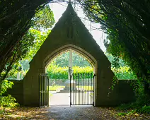 THE ENTRANCE TO ST. PATRICK'S CEMETERY AT MAYNOOTH UNIVERSITY [FEATURING A SHADED TUNNEL OF INTERLOCKING YEW TREES]-237732-1