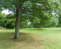 GRACE O'DONNELL MEMORIAL PARK [AND THE DARTRY PARK WATERFALL]-239190-1