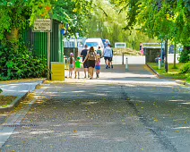 LEINSTER STREET IN MAYNOOTH [IN PREVIOUS POSTS I REFERRED TO THIS AS CANAL PLACE]-237710-1