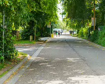 LEINSTER STREET IN MAYNOOTH [IN PREVIOUS POSTS I REFERRED TO THIS AS CANAL PLACE]-237711-1