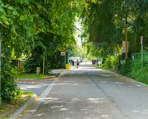 LEINSTER STREET IN MAYNOOTH [IN PREVIOUS POSTS I REFERRED TO THIS AS CANAL PLACE]-237712-1