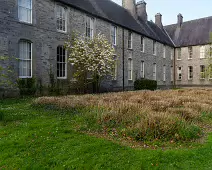 ST PATRICK'S COLLEGE IN MAYNOOTH [COUNTY KILDARE]-223088-1