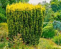 THE PATRICK CORISH MEMORIAL BY RICHIE CLARKE [THE JUNIOR GARDEN AT MAYNOOTH COLLEGE]-237722-1