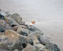 SANDYMOUNT STRAND AS IT WAS IN 2008 [AVOID THE END NEAREST MERRION STRAND EVEN NOW IN 2024]-235950-1