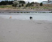 SANDYMOUNT STRAND AS IT WAS IN 2008 [AVOID THE END NEAREST MERRION STRAND EVEN NOW IN 2024]-235970-1