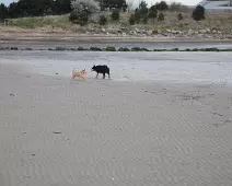 SANDYMOUNT STRAND