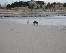 SANDYMOUNT STRAND AS IT WAS IN 2008 [AVOID THE END NEAREST MERRION STRAND EVEN NOW IN 2024]-235972-1