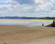 SANDYMOUNT STRAND AND PROMENADE [AUGUST 2024]-239825-1