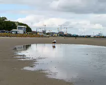 SANDYMOUNT STRAND AND PROMENADE [AUGUST 2024]-239841-1