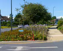 AN ATTRACTIVE COLLECTION OF MICRO GARDENS AND POCKET PARKS [ON LOWER KILMACUD ROAD]-239059-1