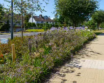 AN ATTRACTIVE COLLECTION OF MICRO GARDENS AND POCKET PARKS [ON LOWER KILMACUD ROAD]-239061-1