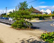 AN ATTRACTIVE COLLECTION OF MICRO GARDENS AND POCKET PARKS [ON LOWER KILMACUD ROAD]-239064-1