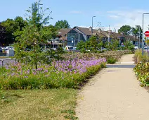 AN ATTRACTIVE COLLECTION OF MICRO GARDENS AND POCKET PARKS [ON LOWER KILMACUD ROAD]-239066-1