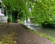 A LONELY RHINO IN THE DODDER [BEHIND THE DROPPING WELL PUB]-239108-1