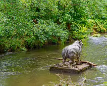 A LONELY RHINO IN THE DODDER [BEHIND THE DROPPING WELL PUB]-239111-1