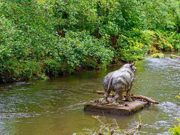 DODDER RHINO In the heart of Dublin, nestled by the River Dodder, stands an enigmatic bronze rhinoceros. Its imposing presence...