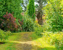 THE ROCK GARDEN WITHIN THE JUNIOR GARDEN [MAYNOOTH COLLEGE CAMPUS]-237737-1