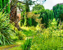 THE ROCK GARDEN WITHIN THE JUNIOR GARDEN [MAYNOOTH COLLEGE CAMPUS]-237738-1