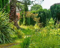 THE ROCK GARDEN WITHIN THE JUNIOR GARDEN [MAYNOOTH COLLEGE CAMPUS]-237739-1