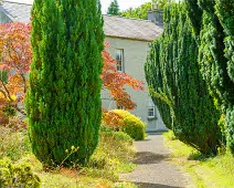 THE ROCK GARDEN WITHIN THE JUNIOR GARDEN [MAYNOOTH COLLEGE CAMPUS]-237741-1