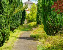 THE ROCK GARDEN WITHIN THE JUNIOR GARDEN [MAYNOOTH COLLEGE CAMPUS]-237743-1