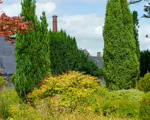 THE ROCK GARDEN WITHIN THE JUNIOR GARDEN [MAYNOOTH COLLEGE CAMPUS]-237746-1