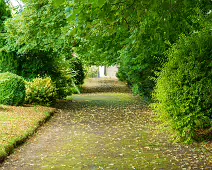 THE ROCK GARDEN WITHIN THE JUNIOR GARDEN [MAYNOOTH COLLEGE CAMPUS]-237747-1