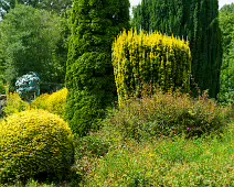 THE ROCK GARDEN WITHIN THE JUNIOR GARDEN [MAYNOOTH COLLEGE CAMPUS]-237748-1