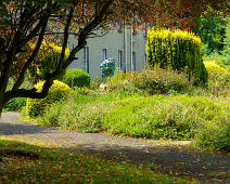 THE ROCK GARDEN WITHIN THE JUNIOR GARDEN [MAYNOOTH COLLEGE CAMPUS]-237750-1