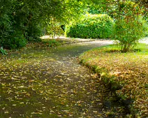 THE ROCK GARDEN WITHIN THE JUNIOR GARDEN [MAYNOOTH COLLEGE CAMPUS]-237752-1