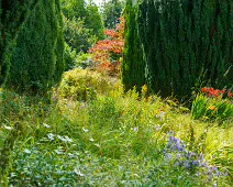 THE ROCK GARDEN WITHIN THE JUNIOR GARDEN [MAYNOOTH COLLEGE CAMPUS]-237756-1