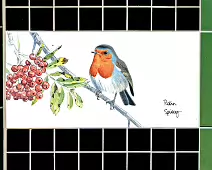 THE IRISH ROBIN [TILES BY KILLIAN MULLARNEY FEATURING BIRDS NATIVE TO IRELAND]-237907-1