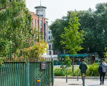 WOLFE TONE STREET [AS IT IS IN AUGUST 2024]-239298-1