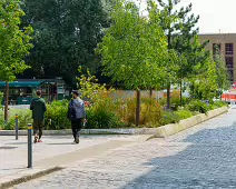 WOLFE TONE STREET [AS IT IS IN AUGUST 2024]-239299-1