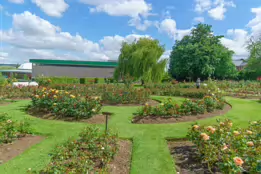 THE BELFAST BOTANIC GARDENS [PHOTOGRAPHED MAY 2017]-235419-1