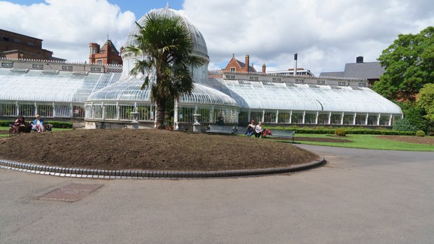 THE MAIN GLASSHOUSE The main glasshouse at Belfast Botanic Gardens is the Palm House. It is one of the earliest examples of a curvilinear...