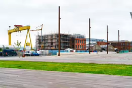 THE DOMINATING CRANES OF BELFAST [SAMSON AND GOLIATH]-235500-1