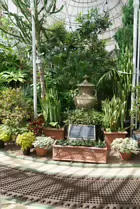 THE MAIN GLASSHOUSE AT BELFAST BOTANIC GARDENS [PHOTOGRAPHED MAY 2017]-235412-1 THE MAIN GLASSHOUSE