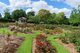 THE BELFAST BOTANIC GARDENS [PHOTOGRAPHED MAY 2017]-235420-1