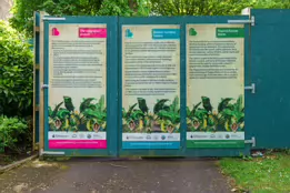 THE BELFAST BOTANIC GARDENS [PHOTOGRAPHED MAY 2017]-235430-1