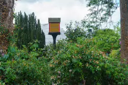 THE BELFAST BOTANIC GARDENS [PHOTOGRAPHED MAY 2017]-235436-1