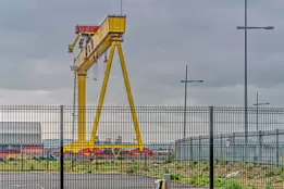 THE DOMINATING CRANES OF BELFAST [SAMSON AND GOLIATH]-235502-1